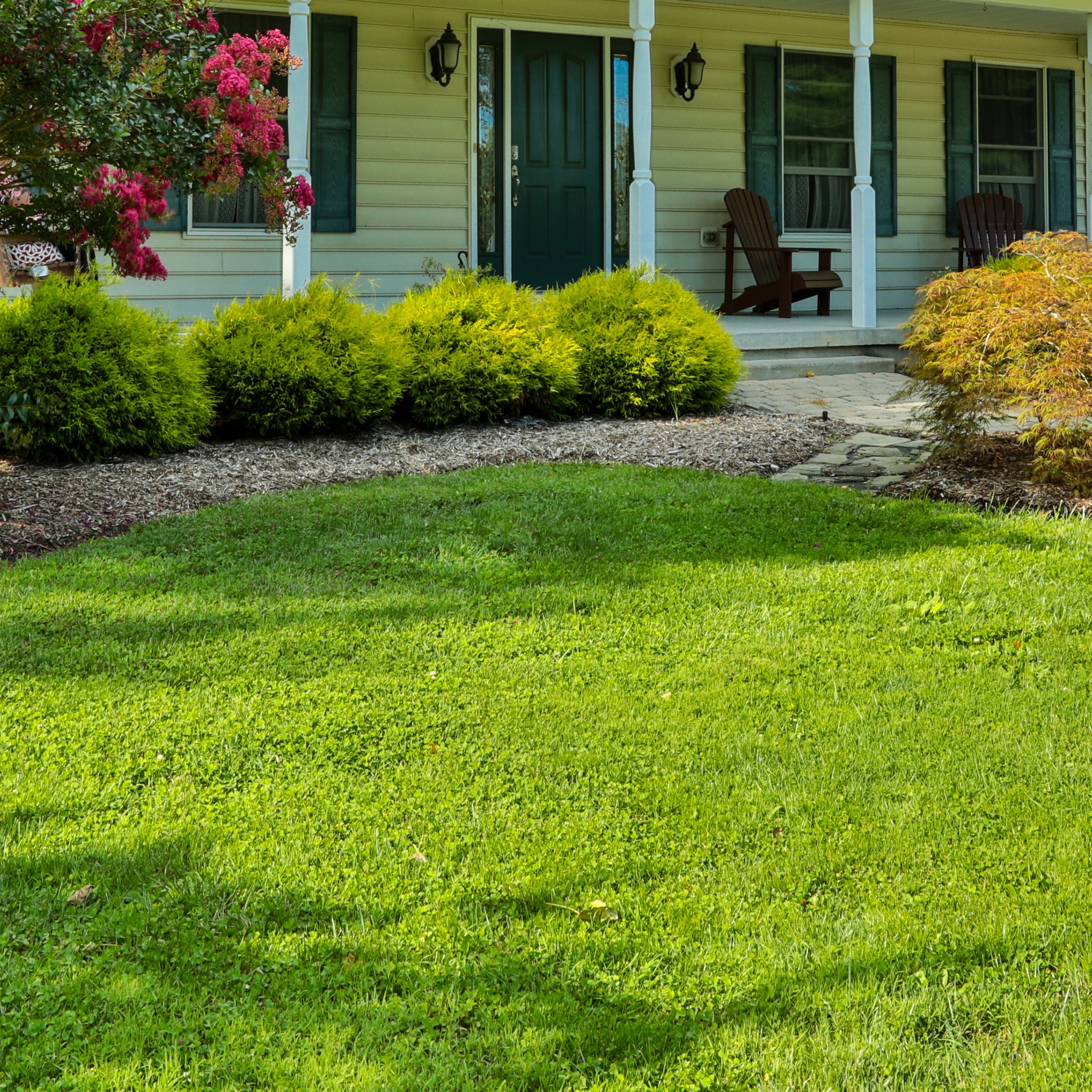 6 Ways Lawn Maintenance Enhances Your Home’s Value and Beauty