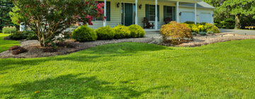 6 Ways Lawn Maintenance Enhances Your Home’s Value and Beauty
