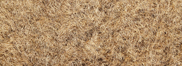 Keeping Grass Healthy Throughout Intense Heat