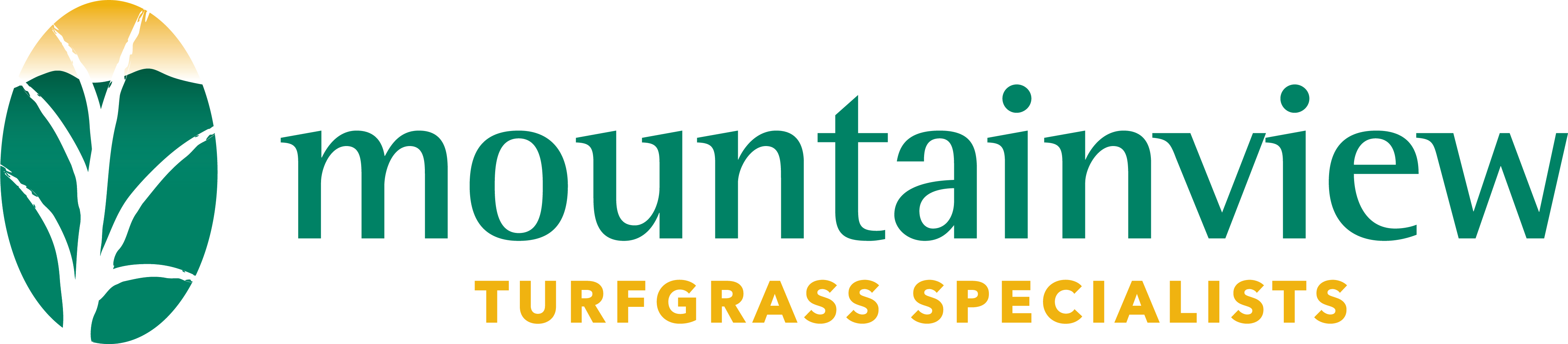 MountainviewTurf