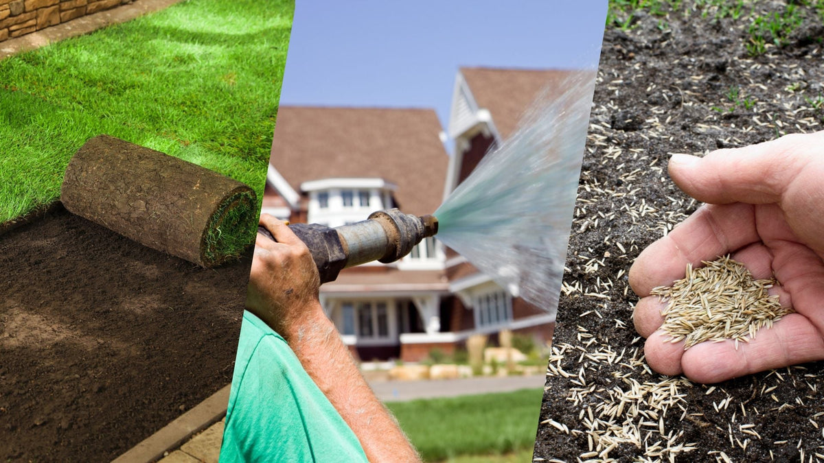 Sod Installation, hydroseeding, or grass seed: Which lawn option is be