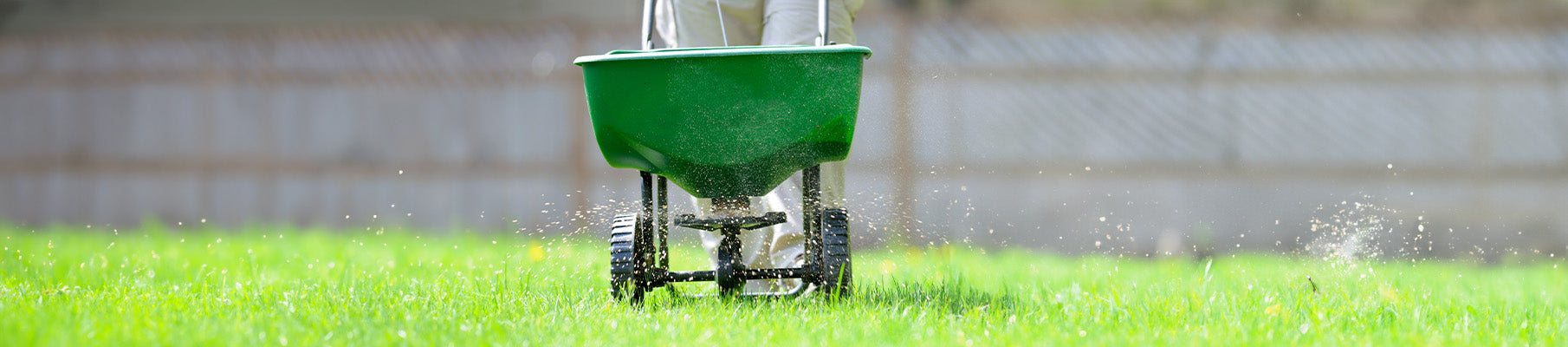 The Best Fall Fertilization Tips to Protect Your Lawn this Winter