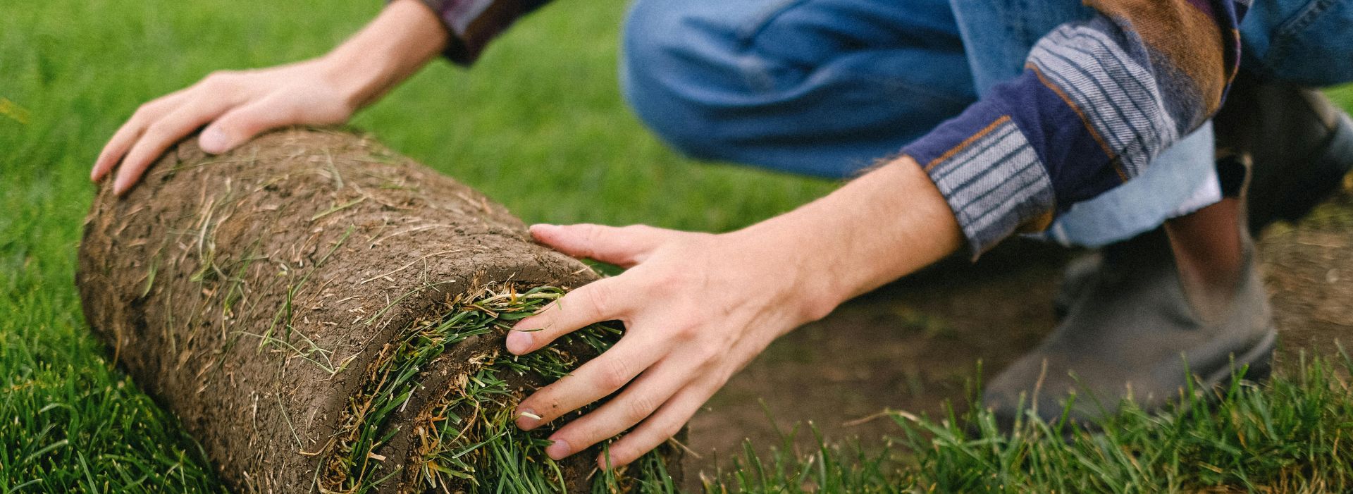 A fresh start: How to care for new sod
