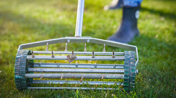 ‘Tis the Season: How to Winterize any Lawn for a Greener Spring