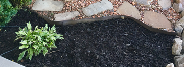What Is Mulch — And Are You Putting It Down the Right Way?