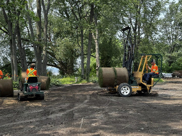 Mountainview Turf crew loading a large sod roll onto a big-roll installer at the farm