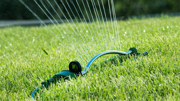 When to Stop Watering Your Lawn Before Winter