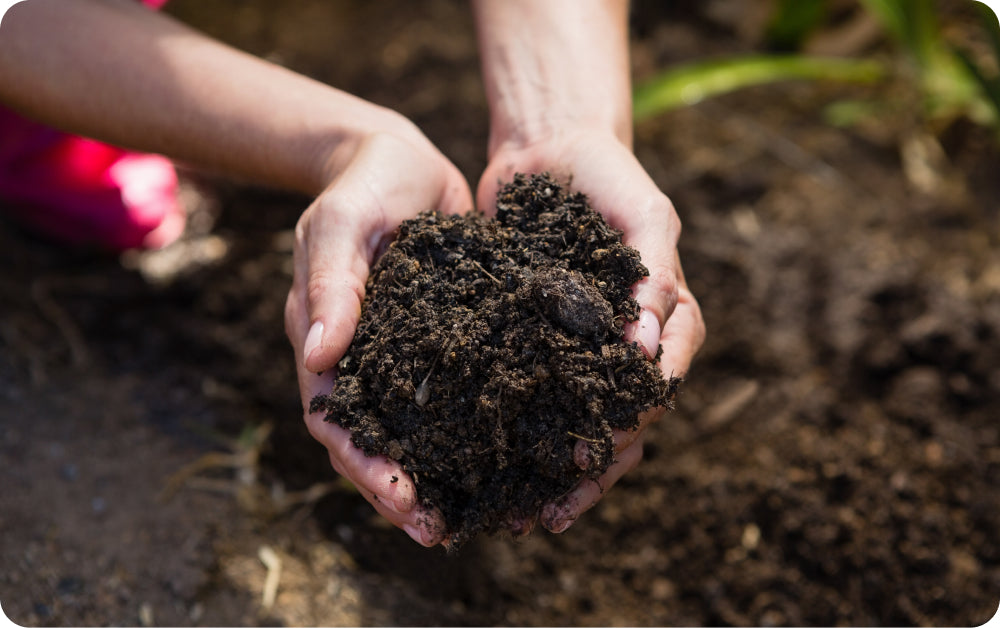 Soil & Compost