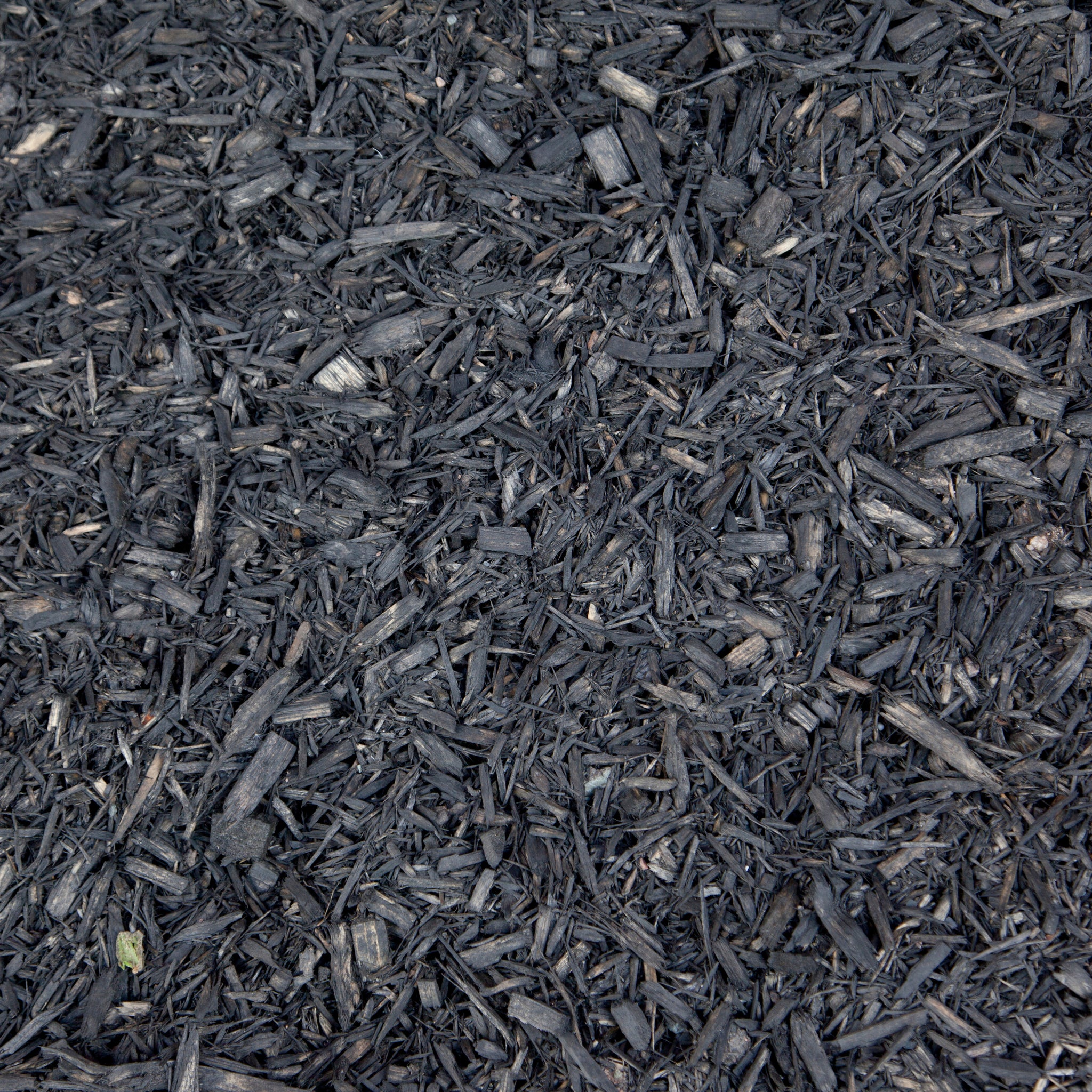 Black Shredded Cedar Mulch
