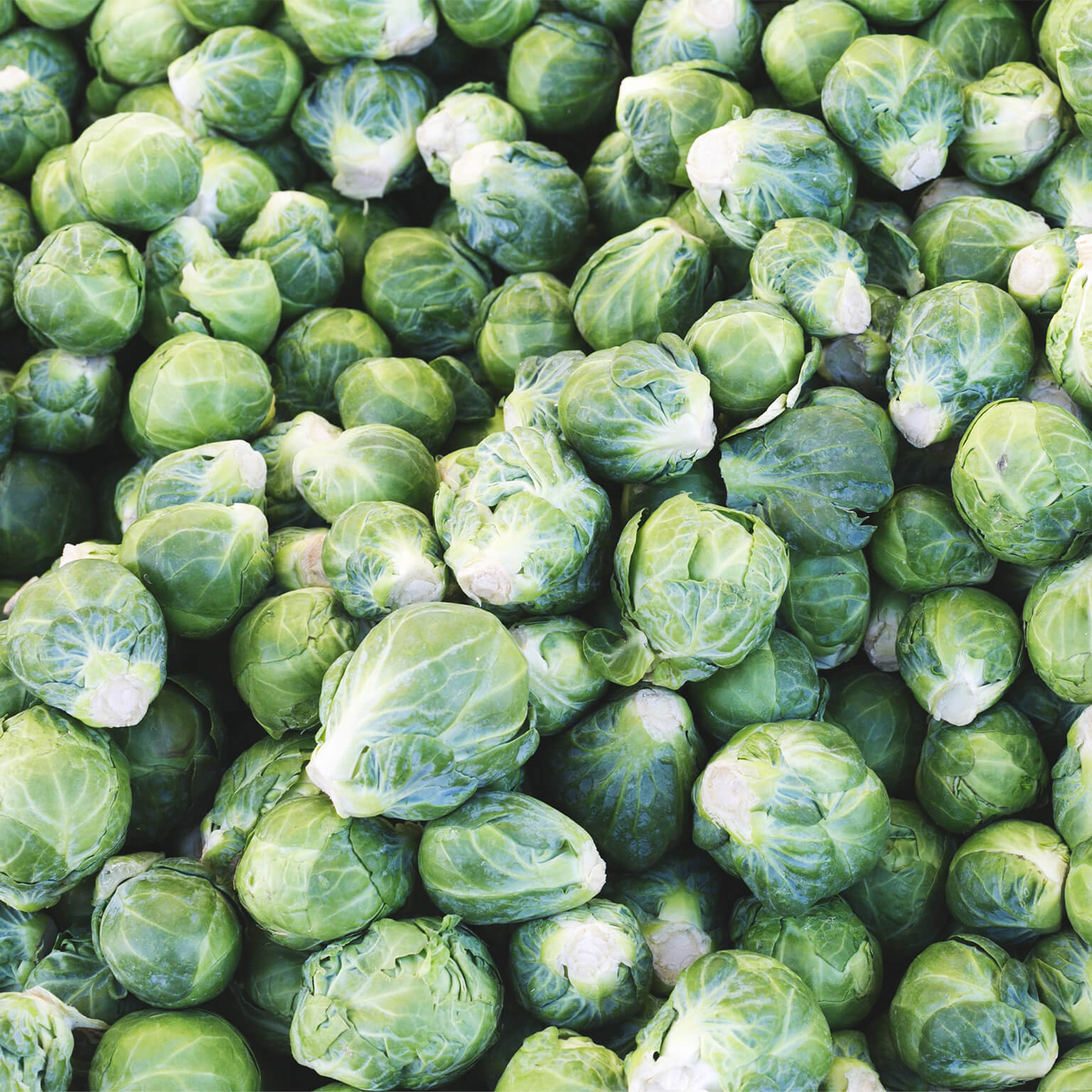Brussell Sprouts