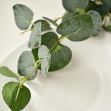 Eucalyptus
