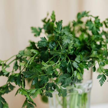 Parsley