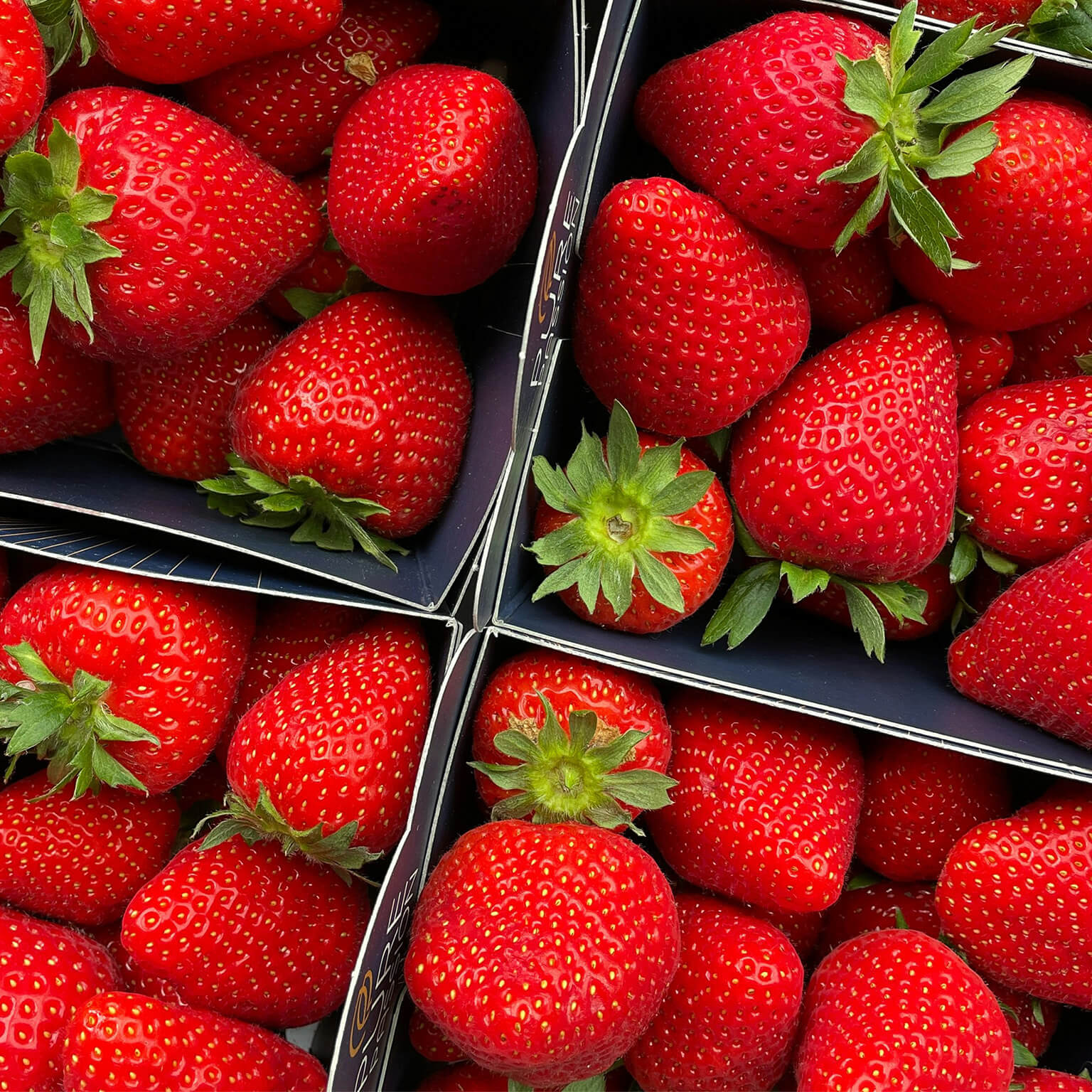Strawberry