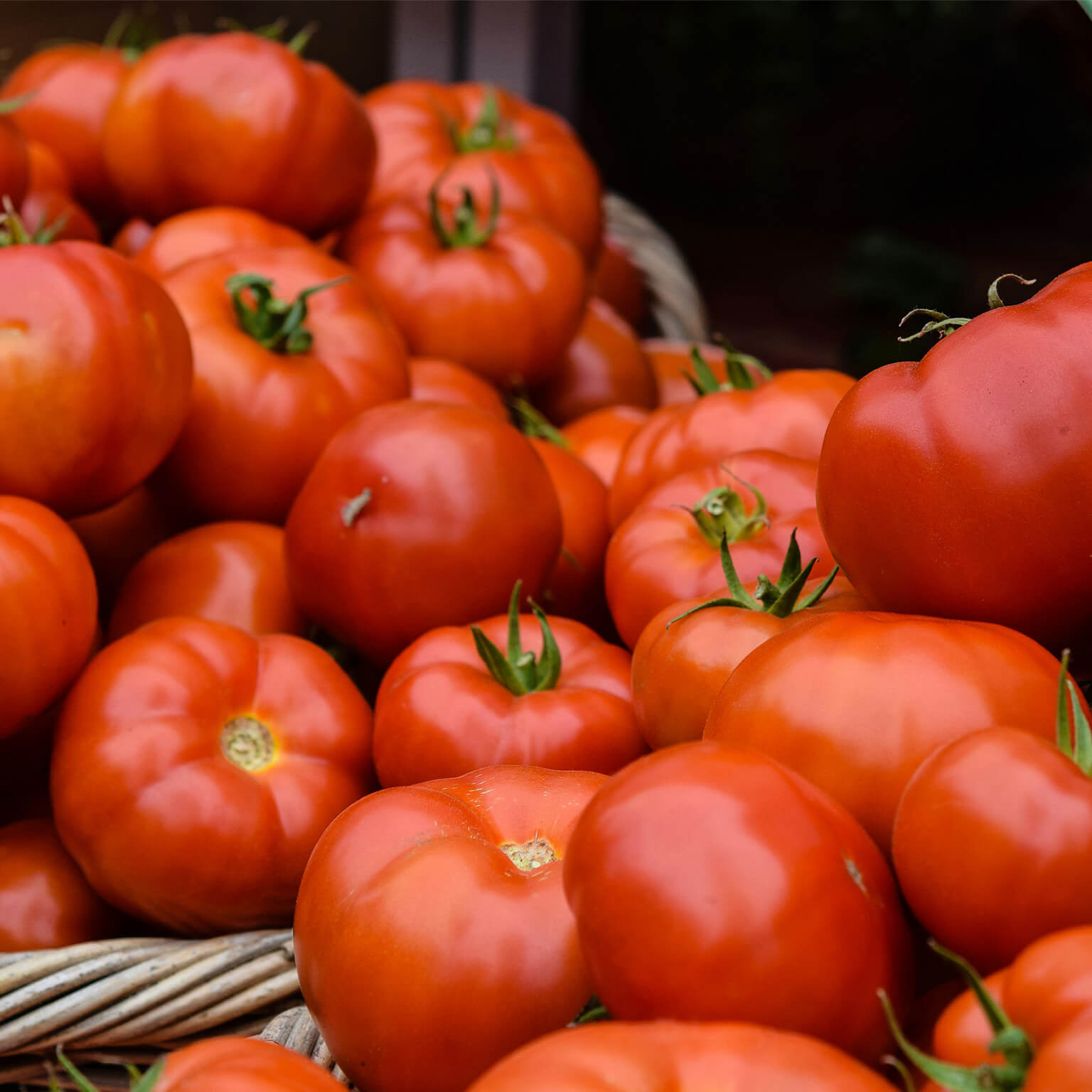 Tomato