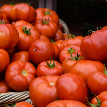 Tomato