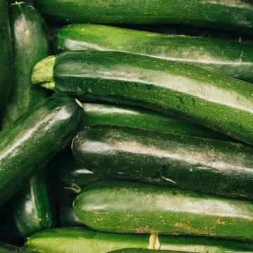 Zucchini