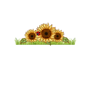 Garden Centre Opening Soon!