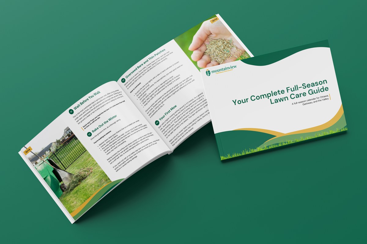 Your Complete Full-Season Lawn Care Guide